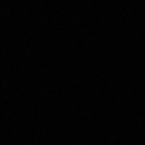 Meet your Posher, Lupe